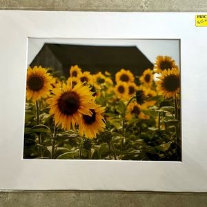 Sunflower farm print.